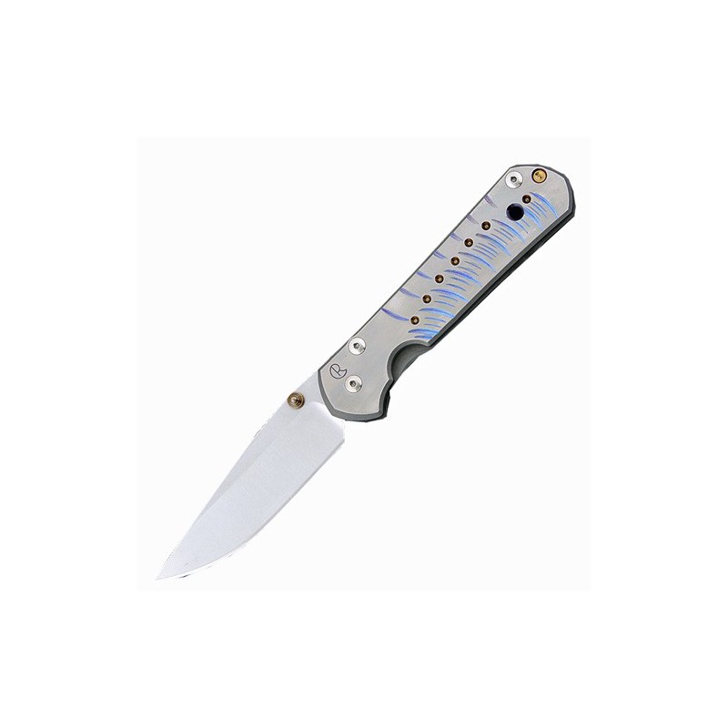 Chris Reeve Large Sebenza 21 Computer Generated Graphic 9.2 cm, L21CGGUN See
