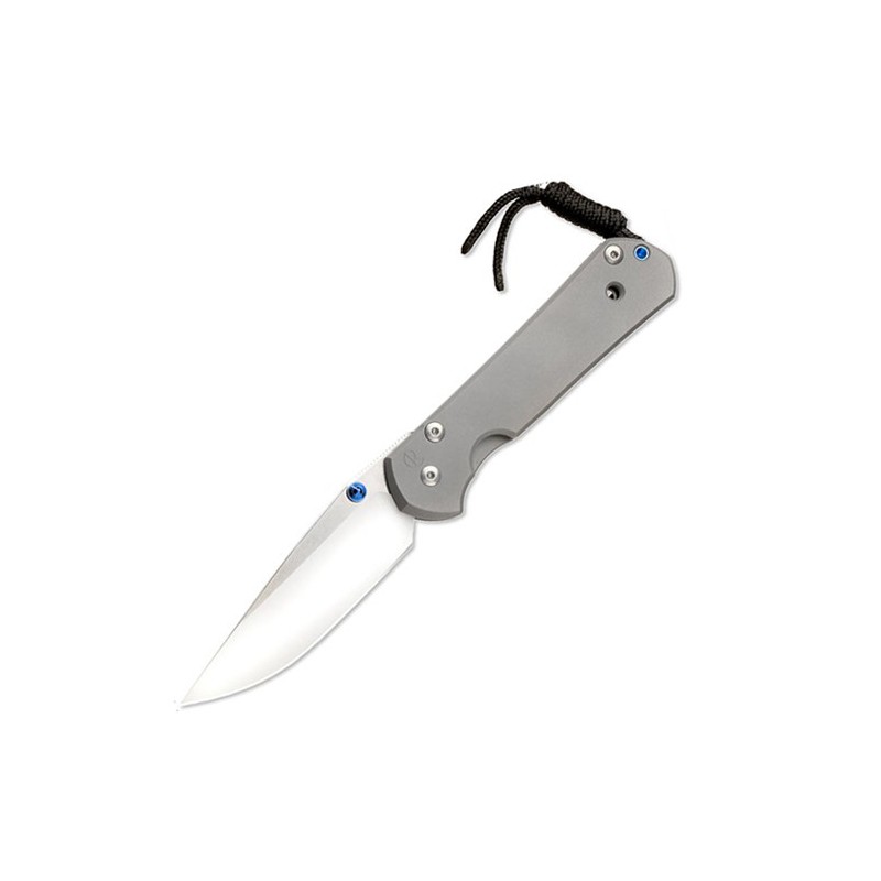 Chris Reeve Large Sebenza 21 Polished Blade 9.2 cm, LS21Pol