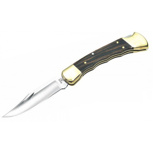 Buck Folding Hunter 9.5 cm, 0110BRSFG