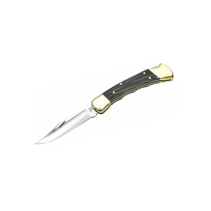 Buck Folding Hunter 9.5 cm, 0110BRSFG